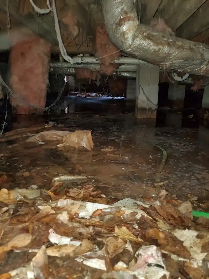Crawl space flood assessment for Leak Detection & Repair in Jackson
